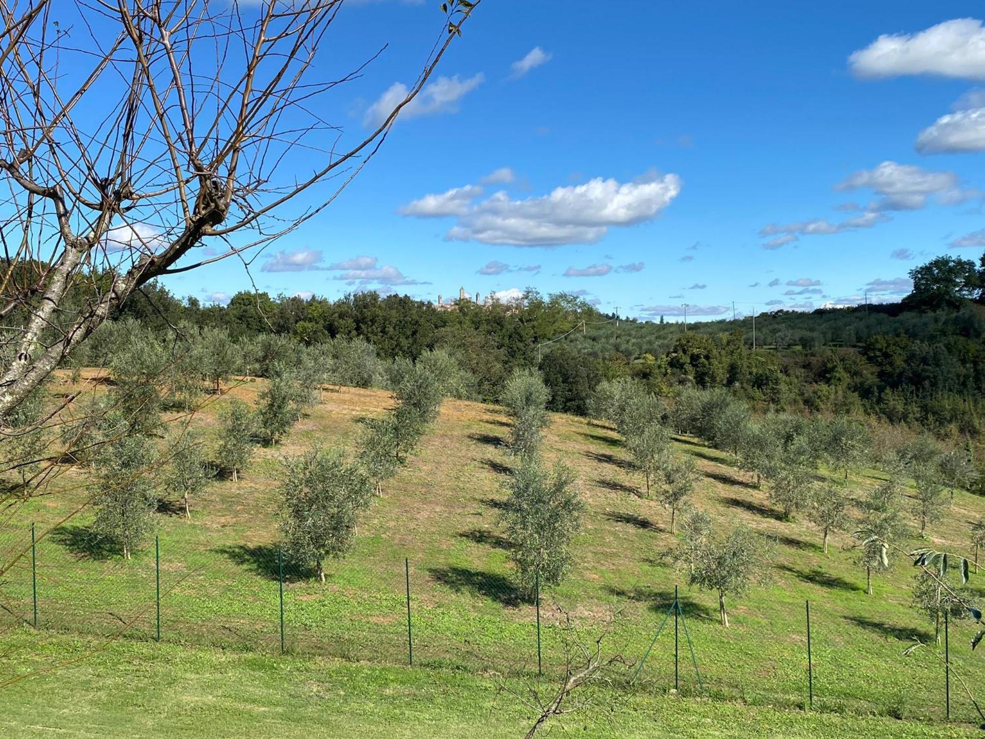 Podere Casanuova サン・ジミニャーノ エクステリア 写真