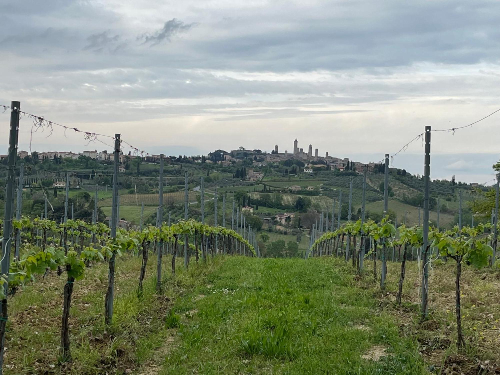 Podere Casanuova サン・ジミニャーノ エクステリア 写真