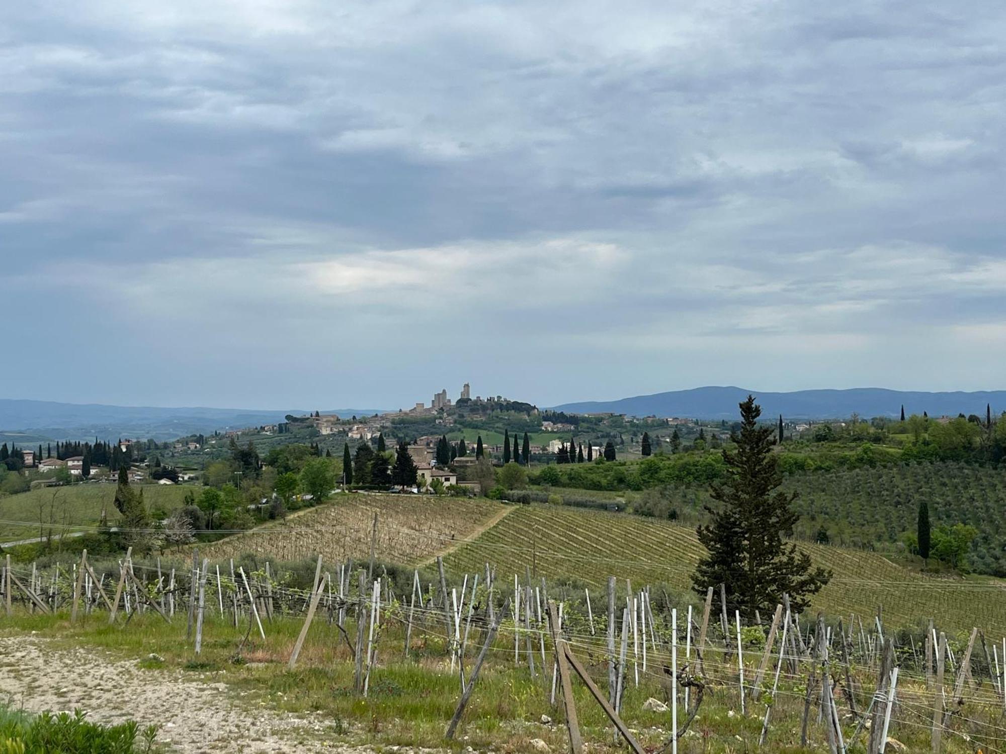 Podere Casanuova サン・ジミニャーノ エクステリア 写真