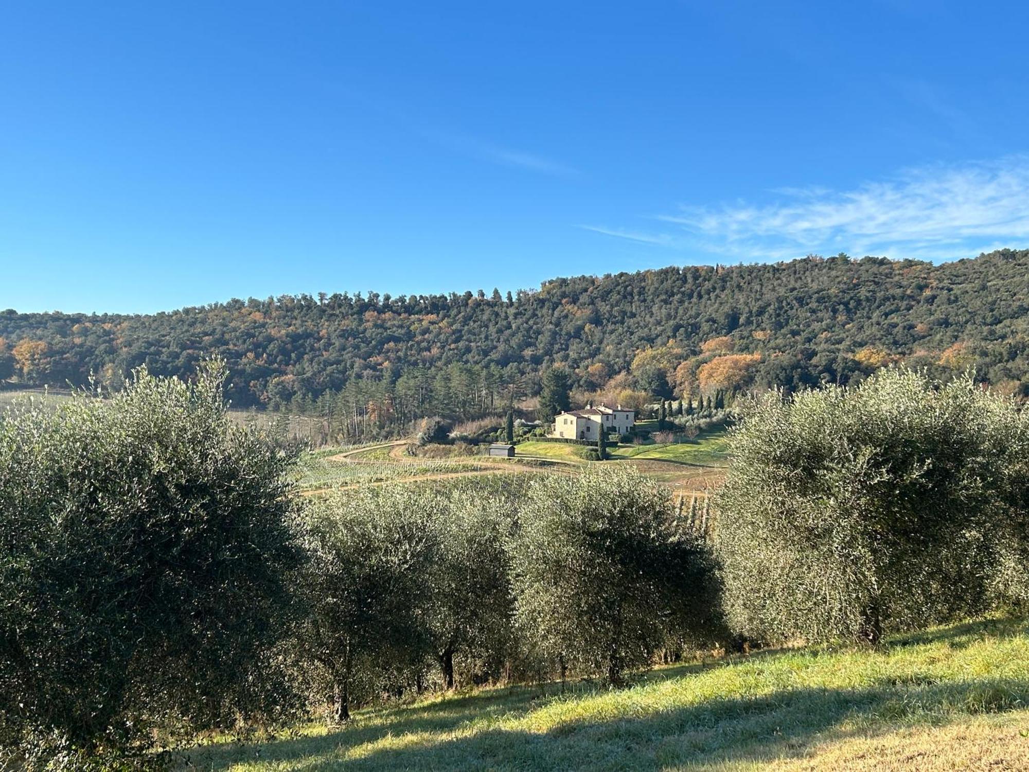 Podere Casanuova サン・ジミニャーノ エクステリア 写真