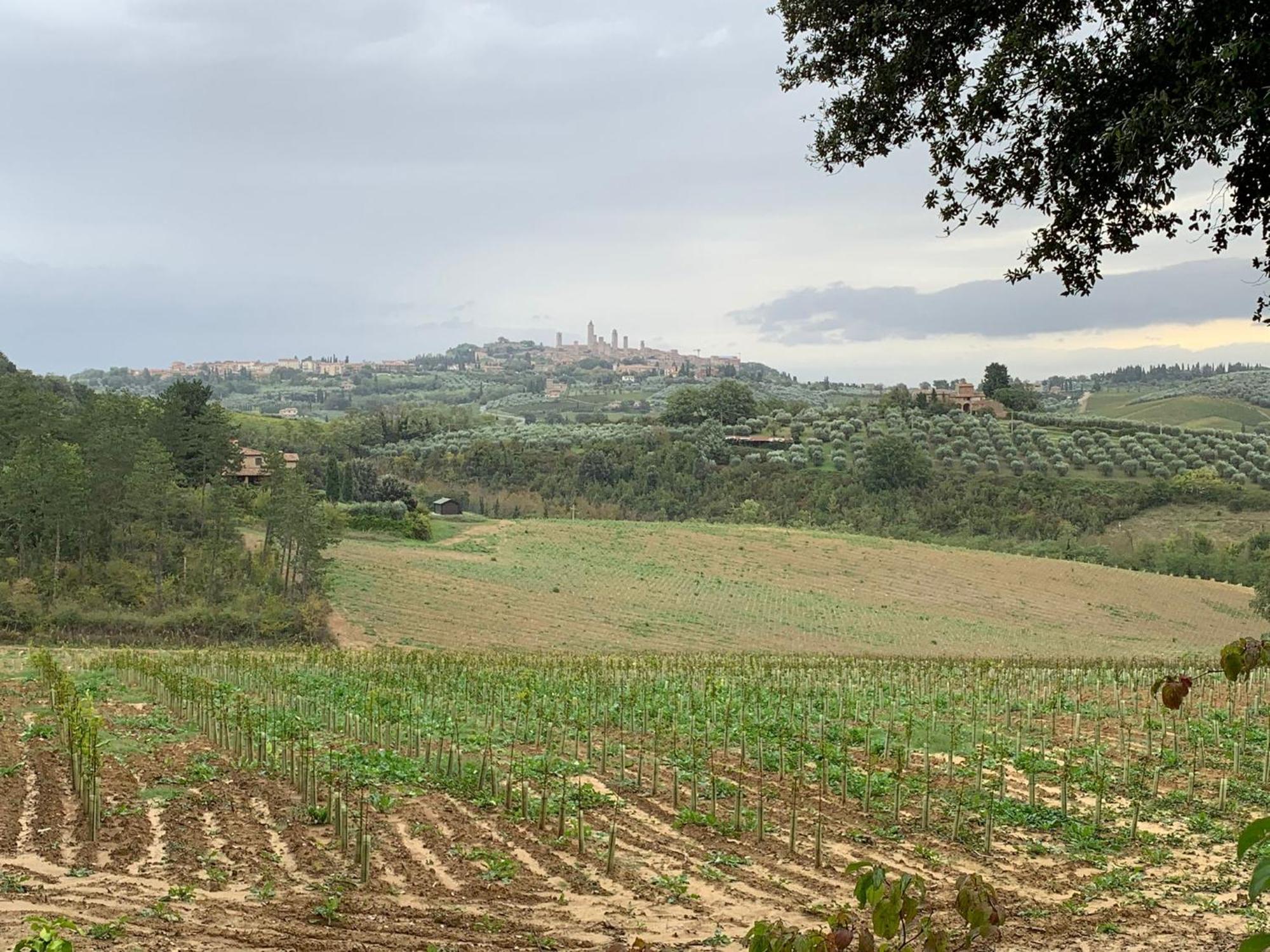 Podere Casanuova サン・ジミニャーノ エクステリア 写真