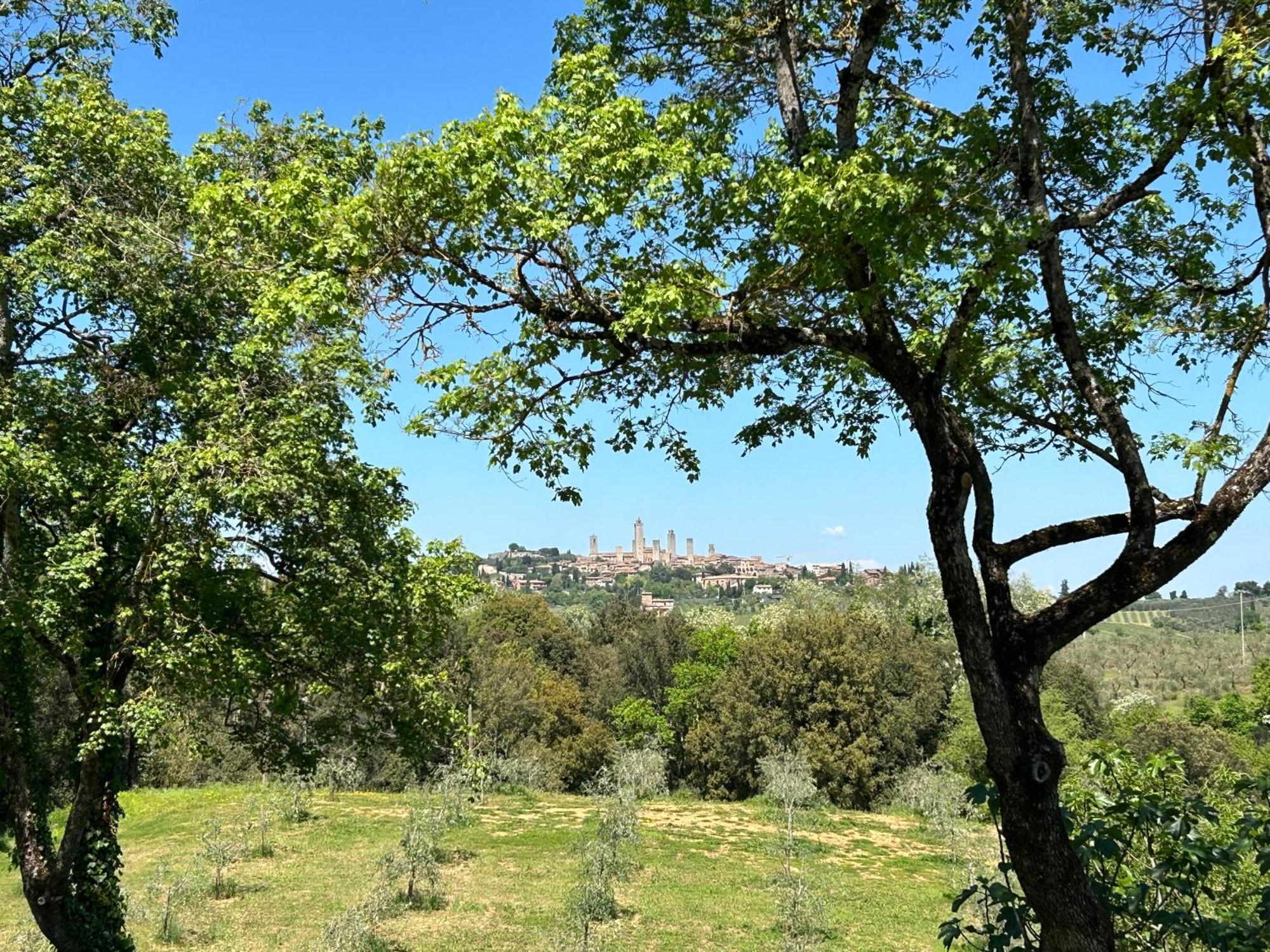 Podere Casanuova サン・ジミニャーノ エクステリア 写真